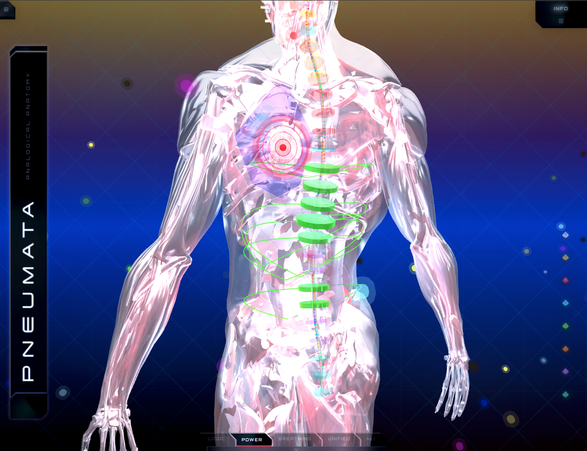 Back detail — vertebral disc markers and organ connections